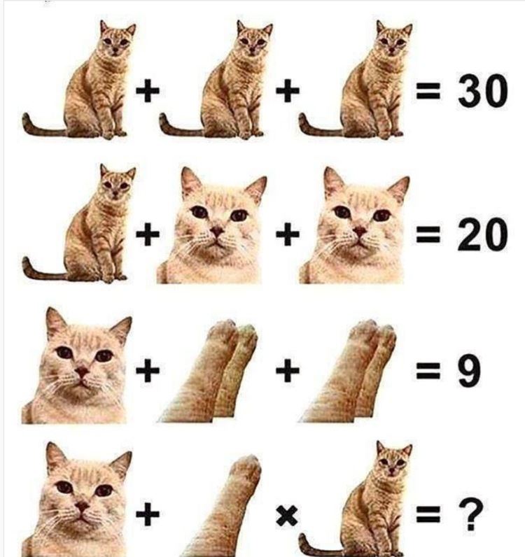 Cat age
