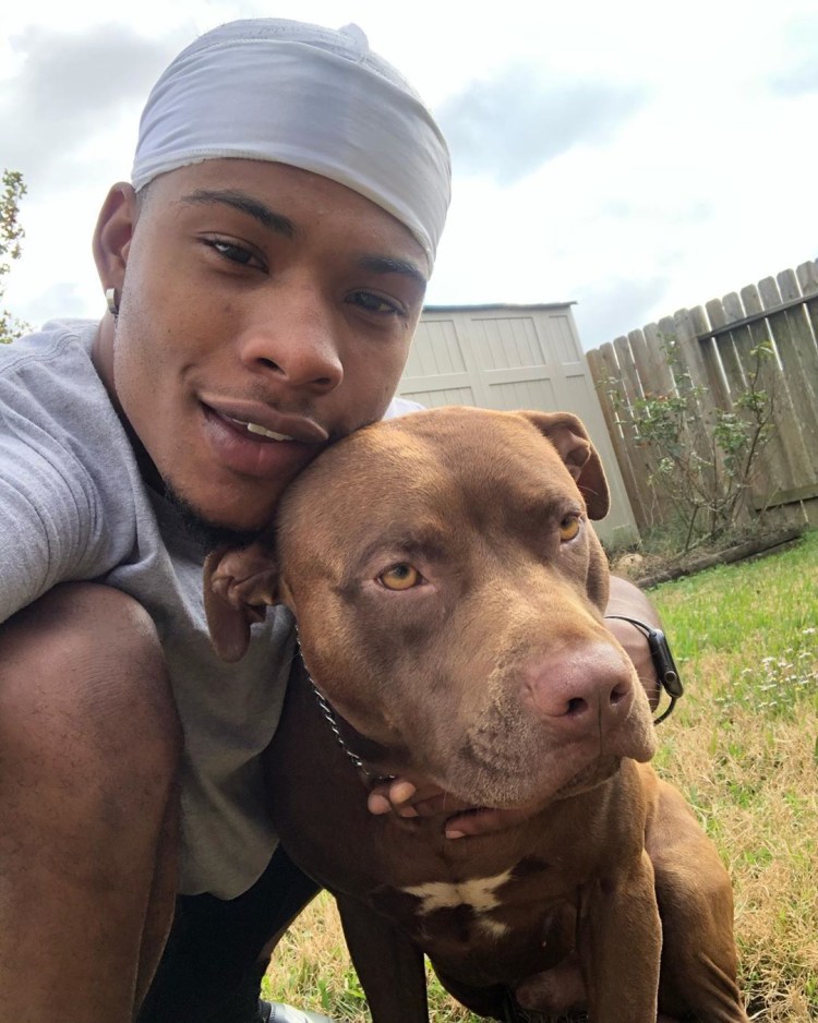 Американский стаффордширский питбультерьер черный