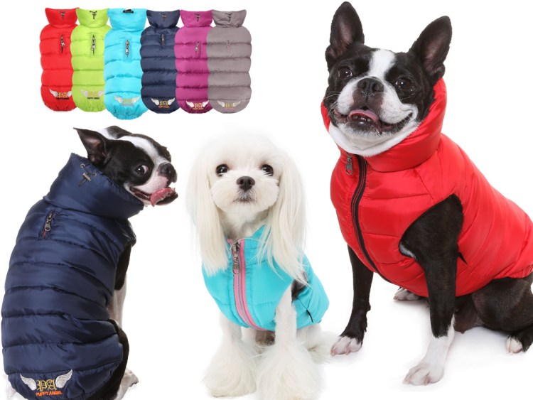 Собачьи аксессуары