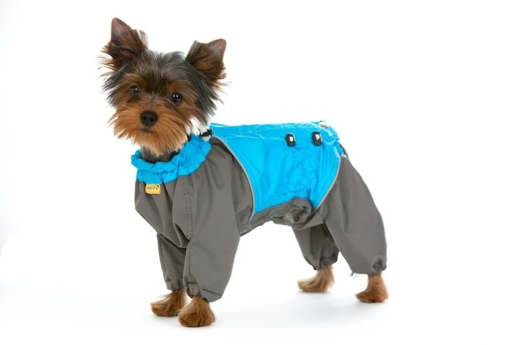 Комбинезон ЗМ Йоркширский терьер утепл