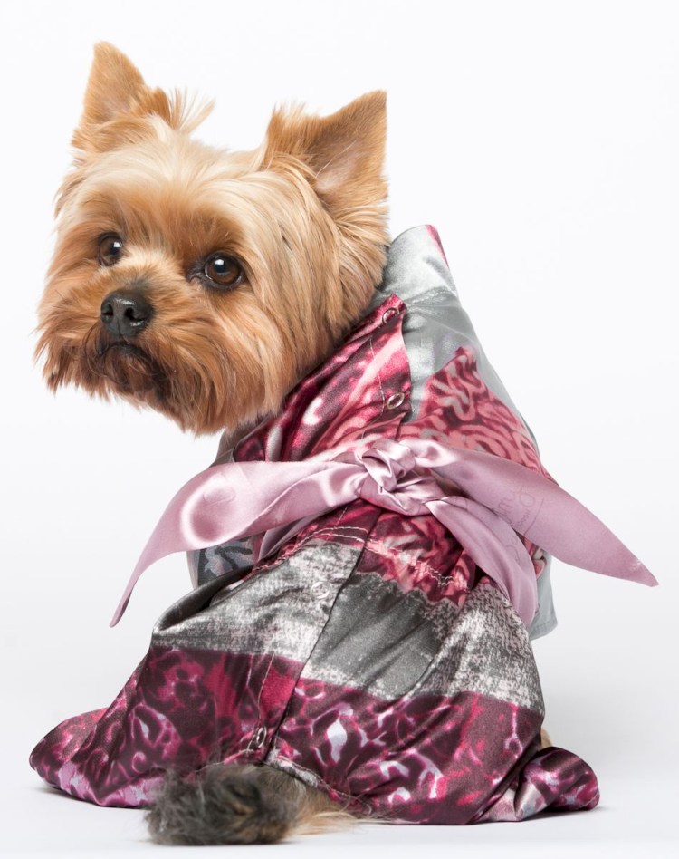Одежда для собак