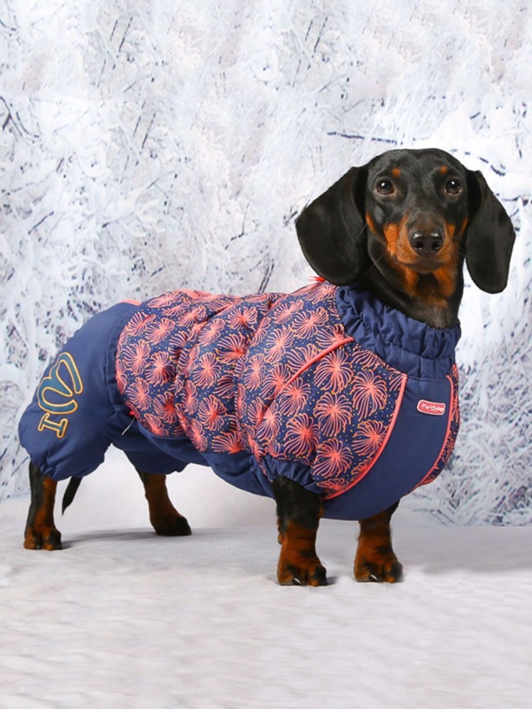 Трусы для собак при течке 4 лапы