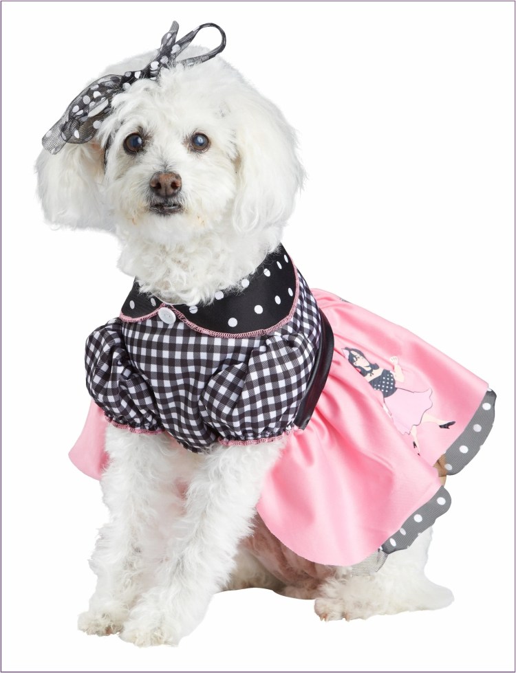 Куртка Джек-Рассел Adidog