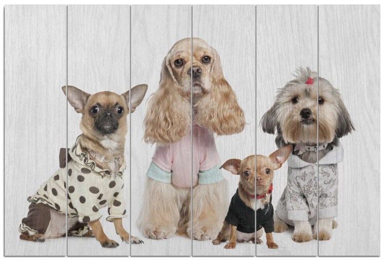 Комбинезон гамма зимний "такса" 41см