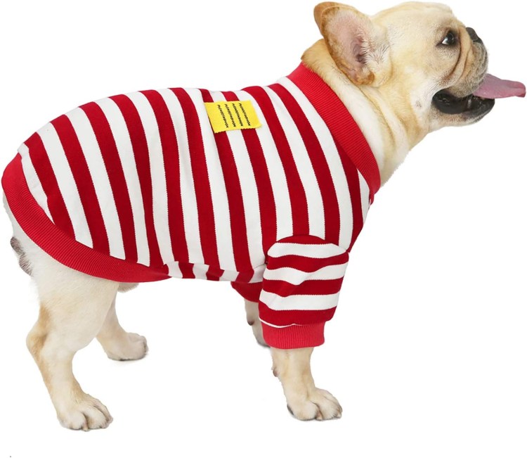 Комбинезон для собак Yoriki 4лапы