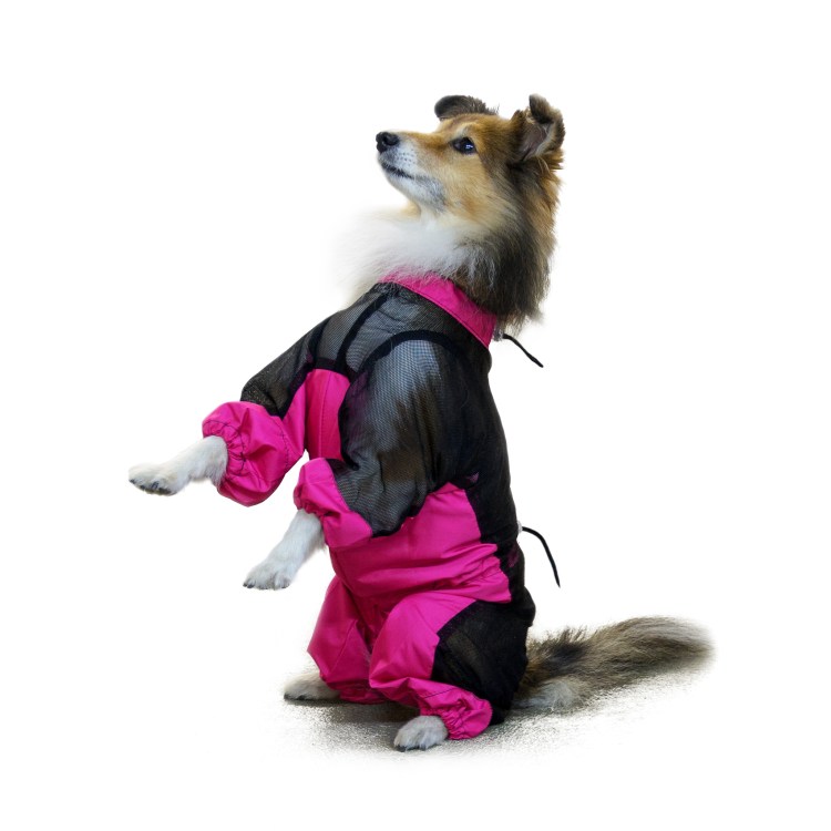 Одежда для больших собак