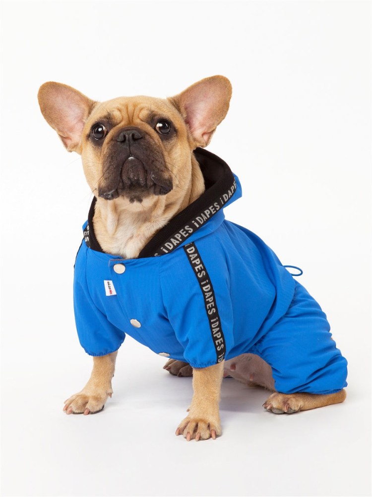 Комбинезон для собак зимний