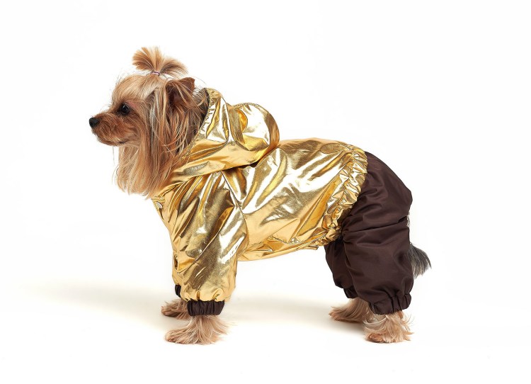 Рокки одежда для собак