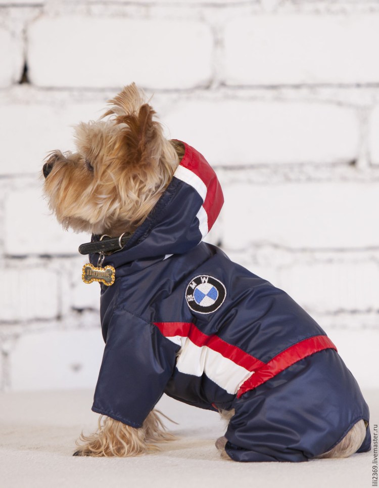 Сетчатый комбинезон для собак