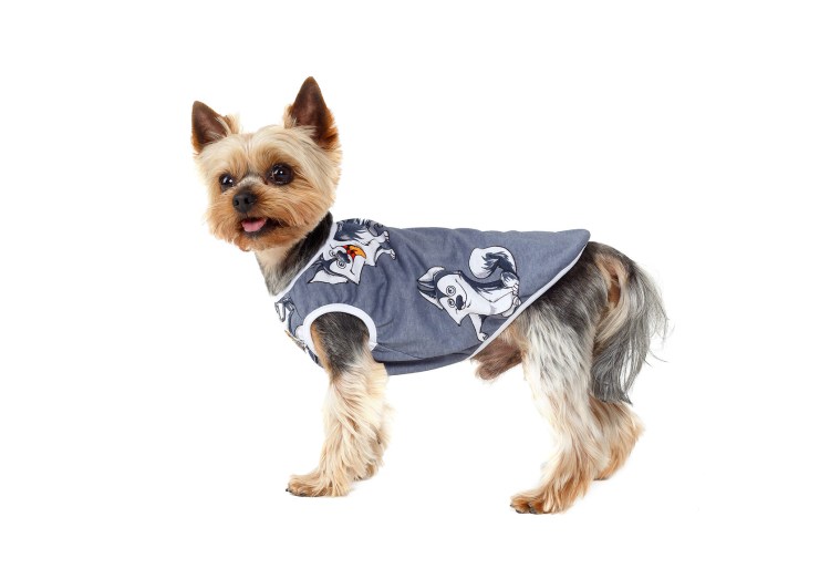 Одежда для собак