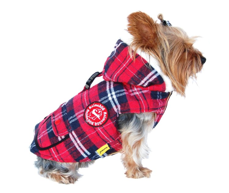 Зимний комбез для собаки