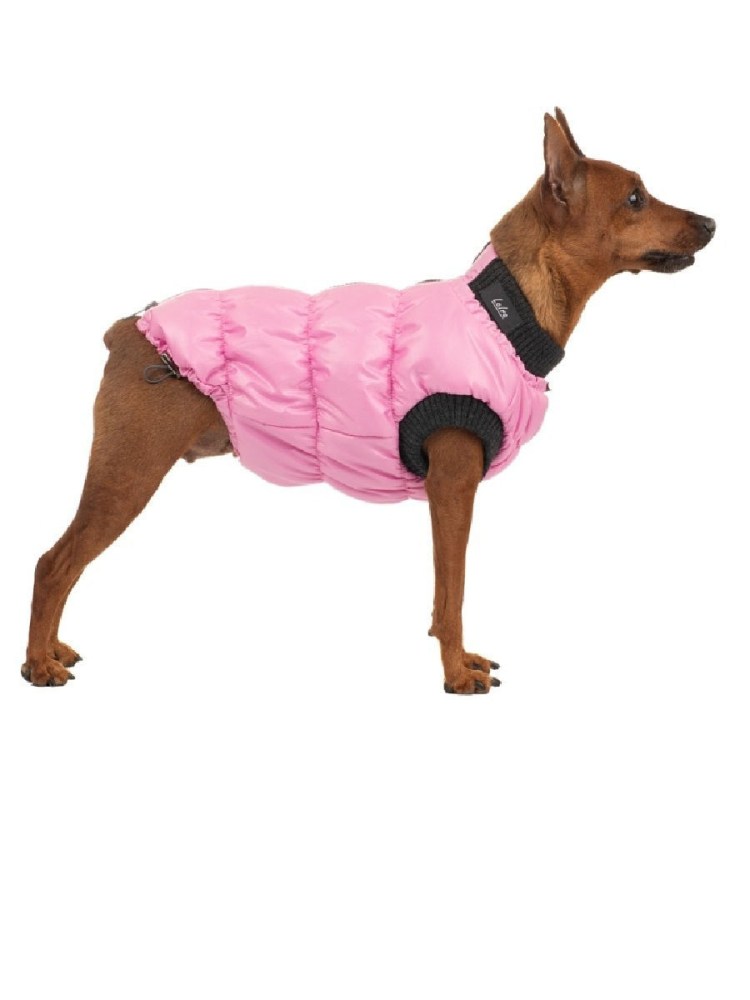 Одежда для собак