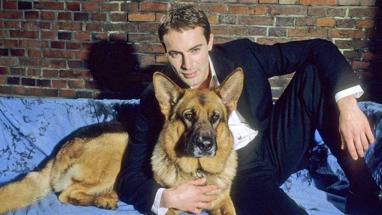 Восточноевропейская овчарка