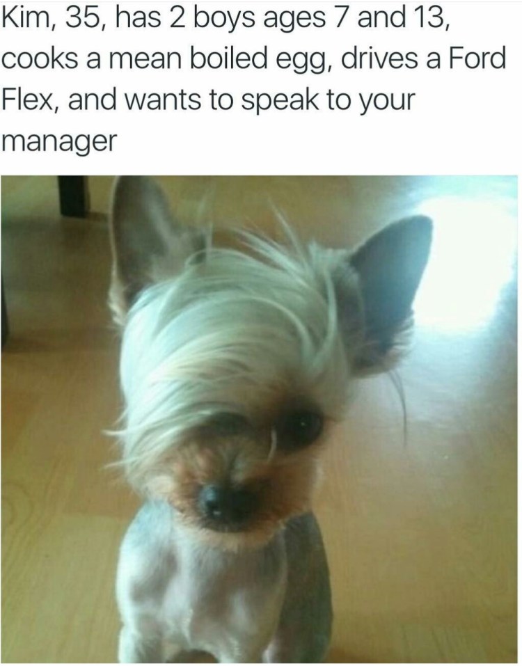 Бриар французская пастушья овчарка