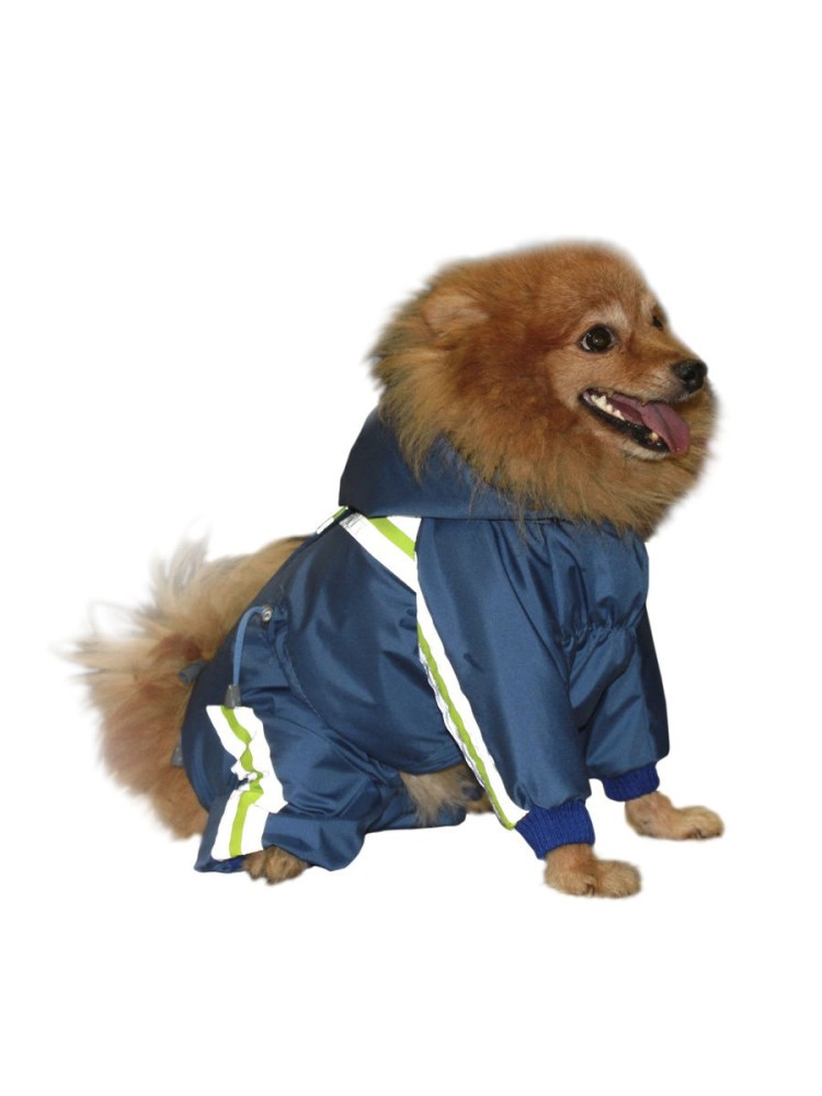 Комбинезон для шпица