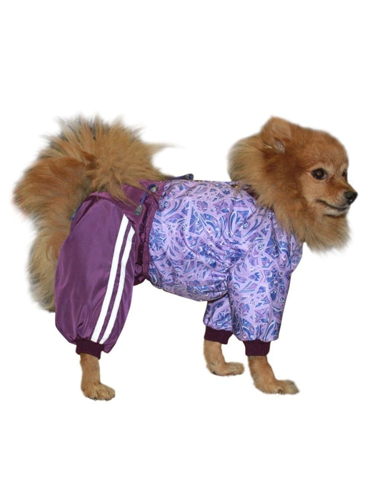 Zeppelin комбинезон для шпица