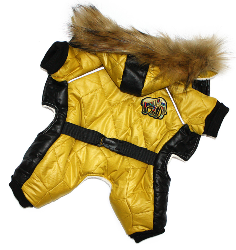 Померанский шпиц jiffpom белый