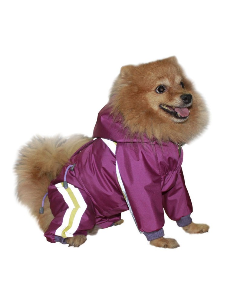 Zeppelin комбинезон породный для шпица, д/д s