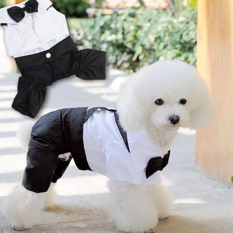 Купальники для йорков