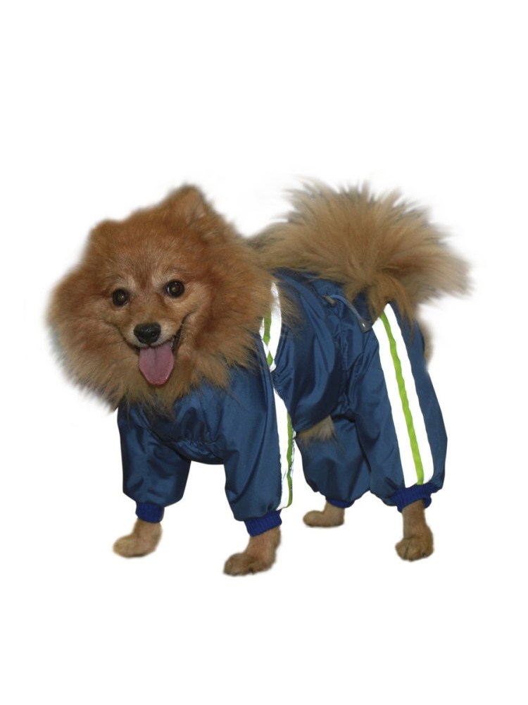 Тапочки для собак