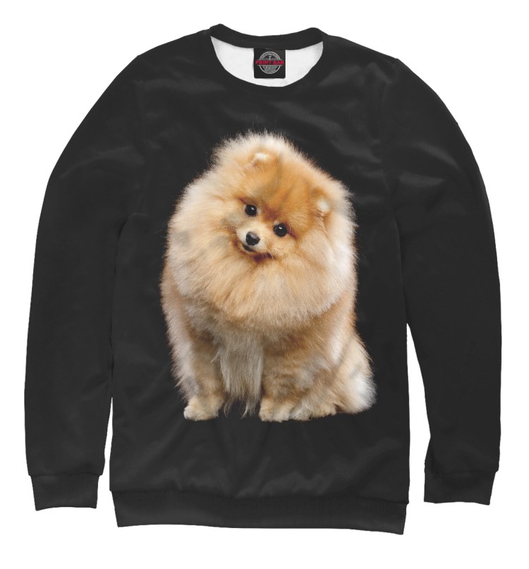 Одежда для маленьких собак