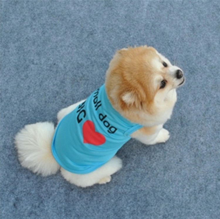 Смешная одежда для собак