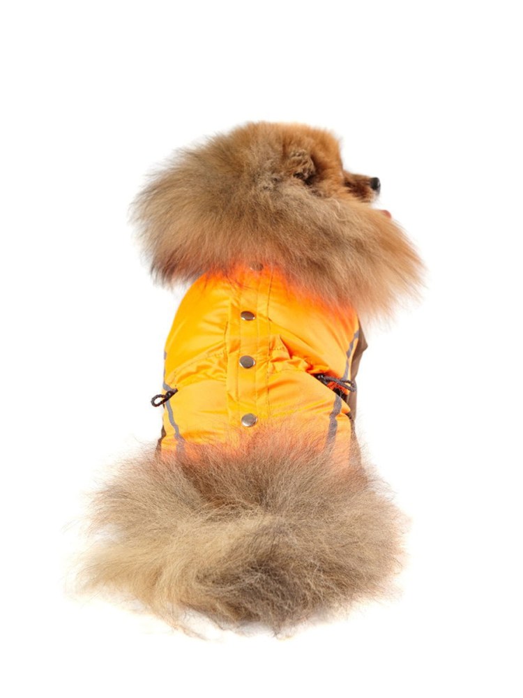 Принадлежности для шпица