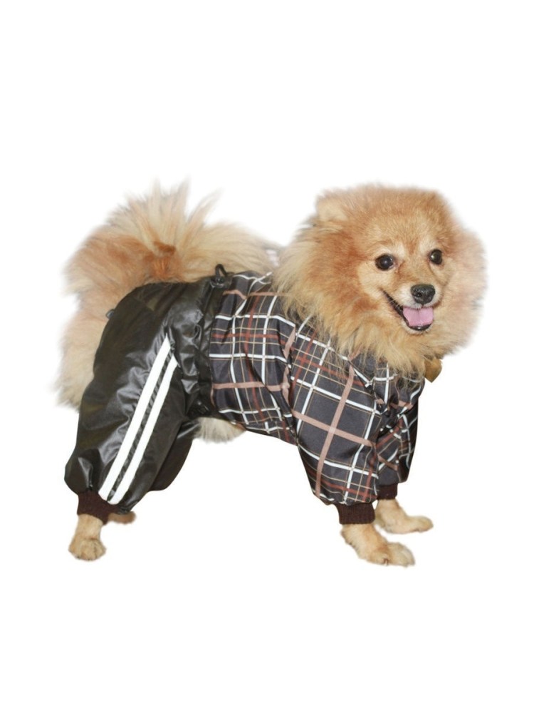 Комбинезон для шпица мальчика богнер