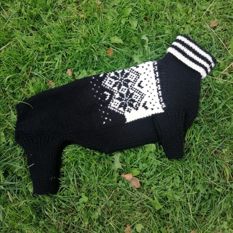 Вязаный комбинезон для Йорка