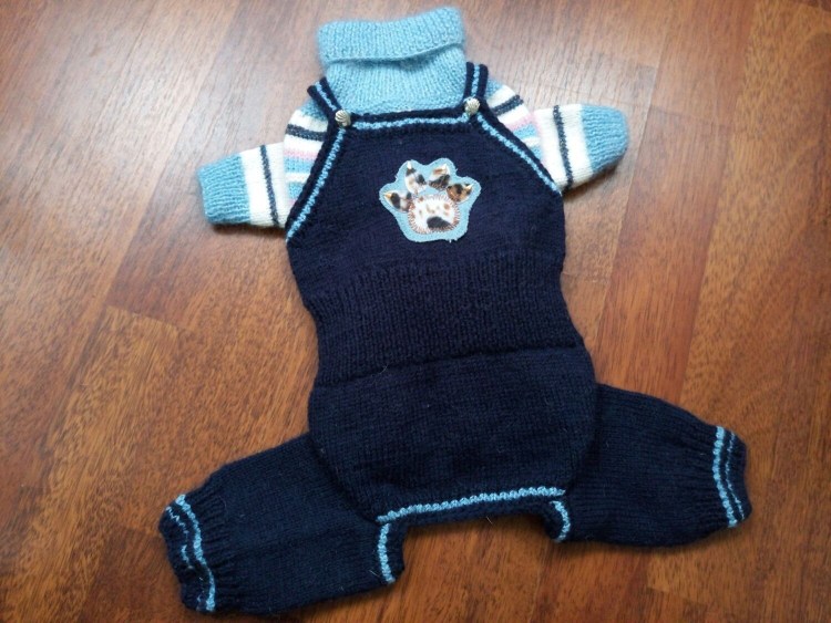 Вязанная одкжла доя собак