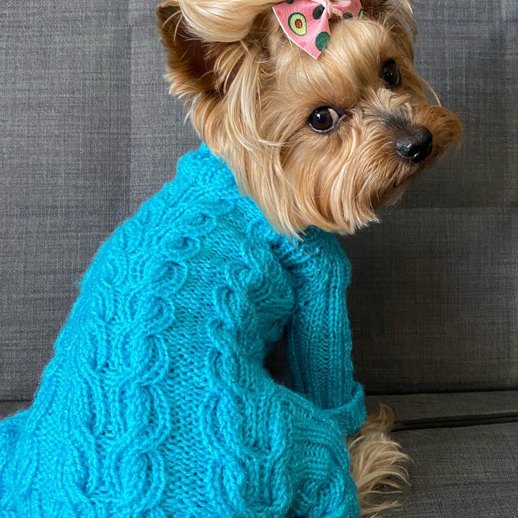 Костюм для кролика питомца связать