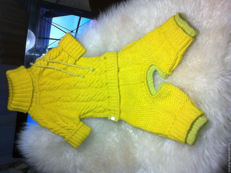 Вязаный свитер для собаки