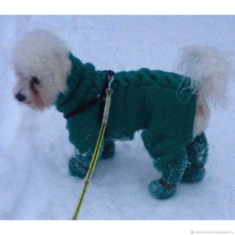 Вязаные комбинезоны для собачек