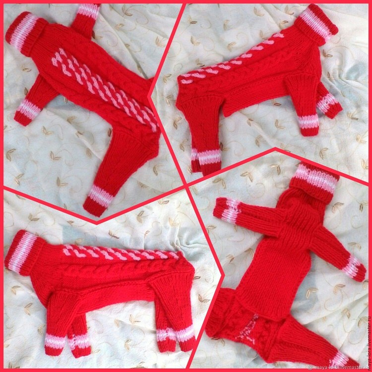 Вязаные комбинезоны для собачек спицами
