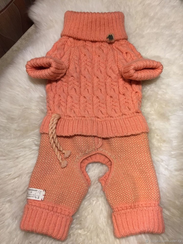 Вязаный костюм для собаки