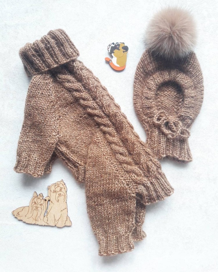 Комбинезон для собаки реглан