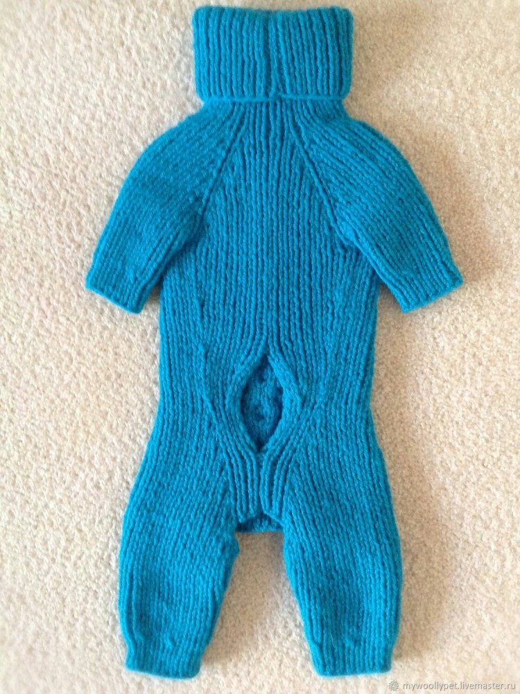 Вязаные комбезы для собак
