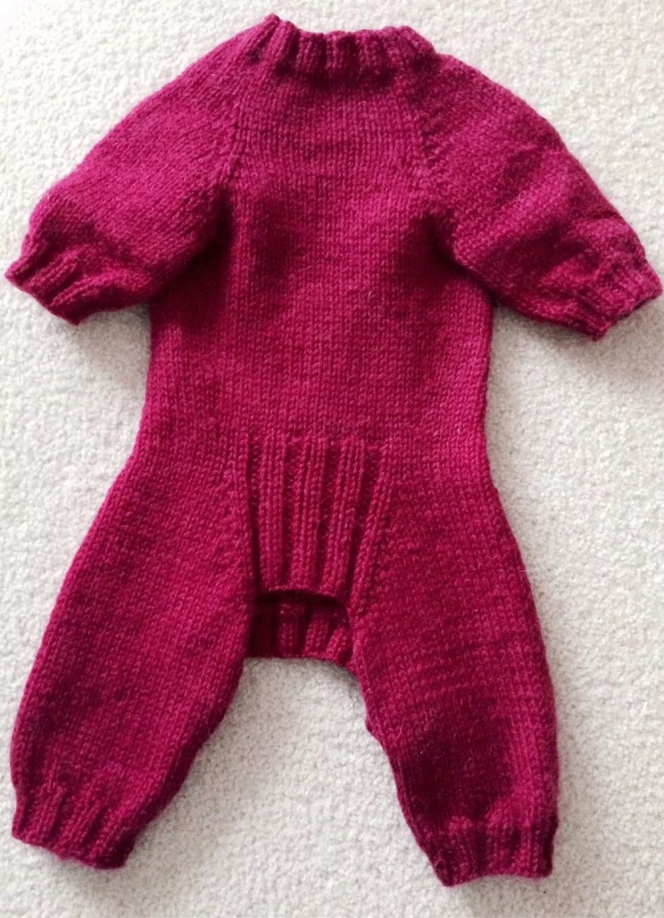 Вязаные комбинезоны для собак йорков