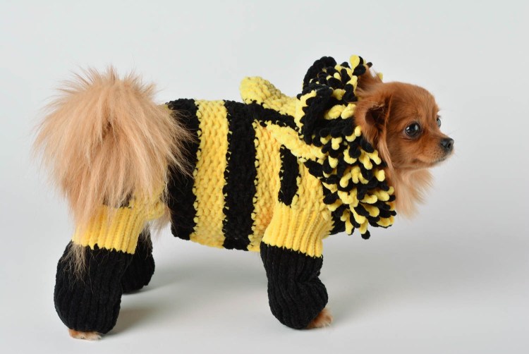 Вязаный комбинезон для тойчика