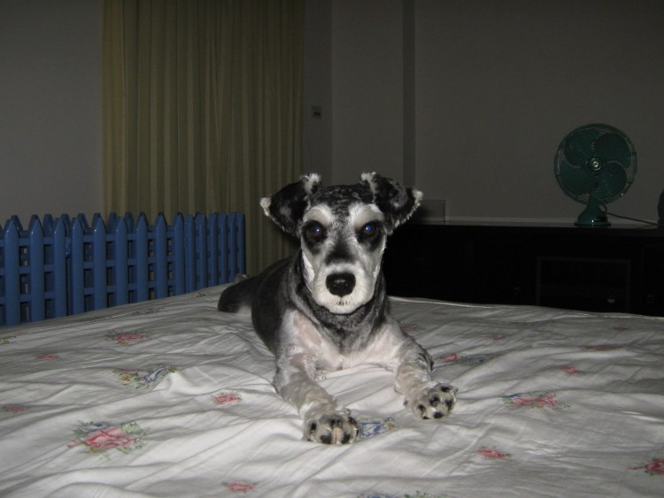 Бай Сяо Чунь