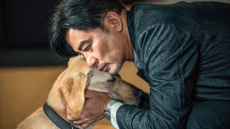 Червячный мотор-редуктор sa67 ls30p41b11