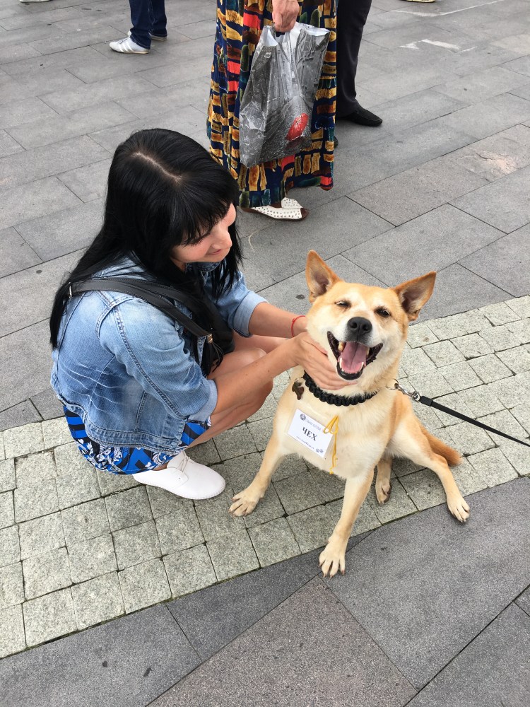 Таиланд подарок сына отцу