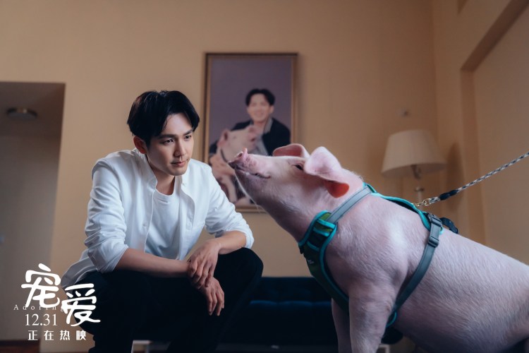 ИП ман маленький