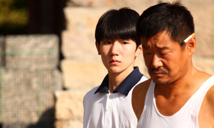 Булли серый