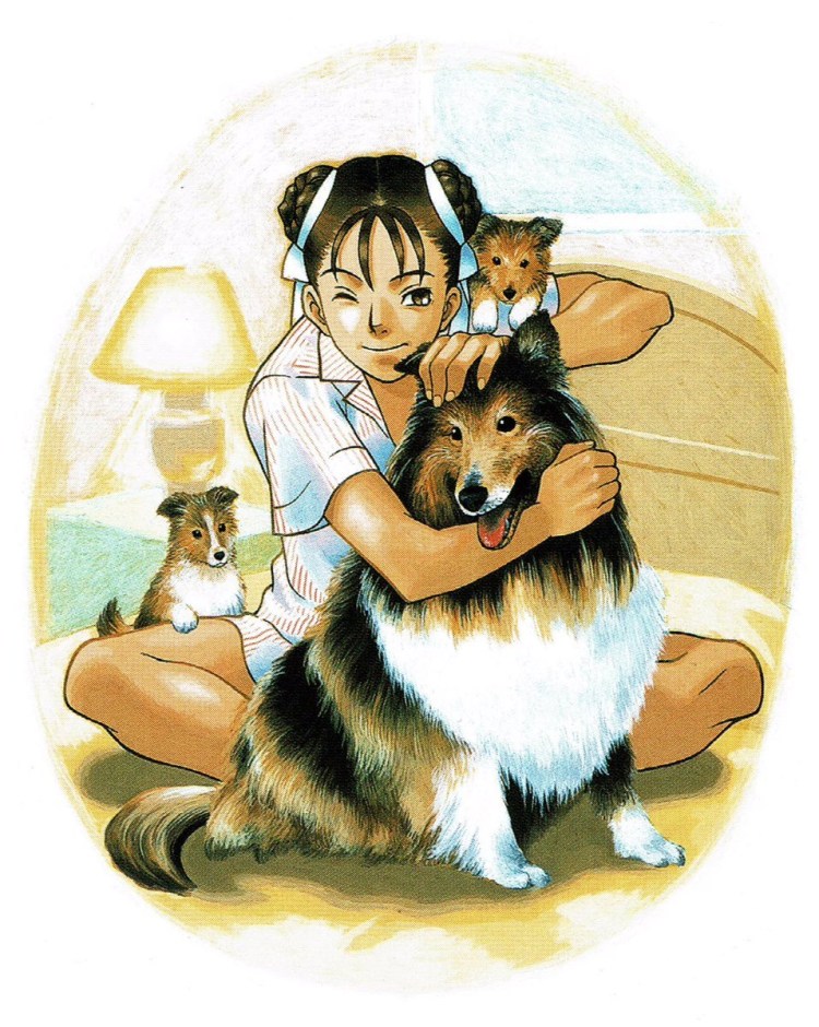 Картинка собаки Чун Тиан