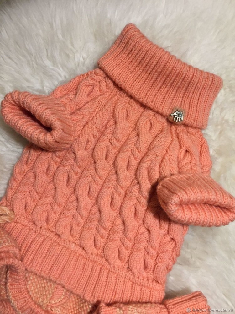 Свитер для маленькой собачки