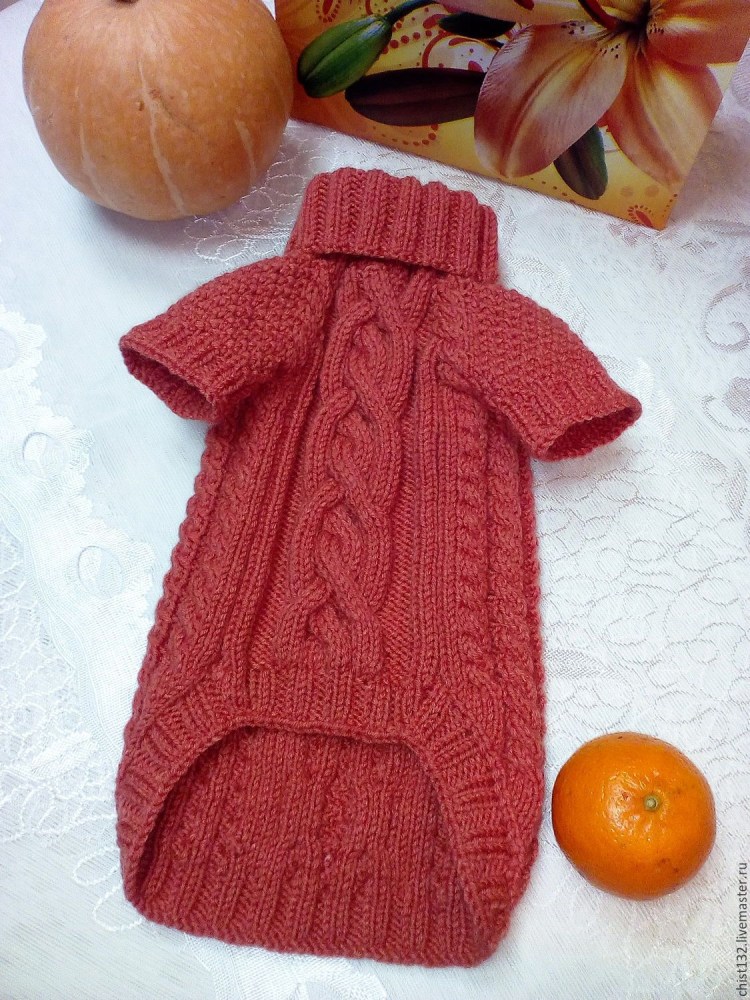 Вязаный свитер для фокстерьера