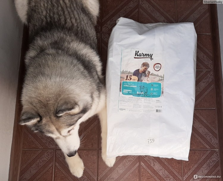 Blitz корм для собак Lamb and Rice