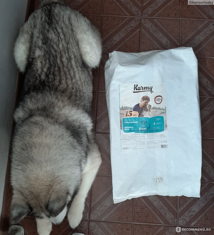 Isegrim корм для собак