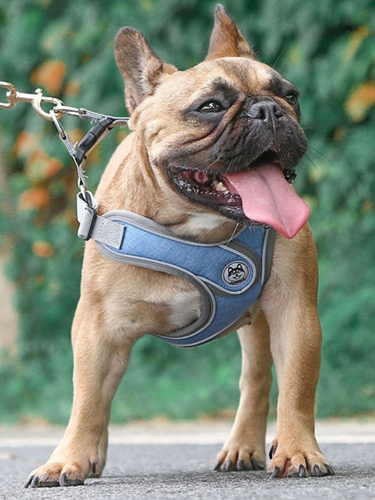 Поводок для шарпея